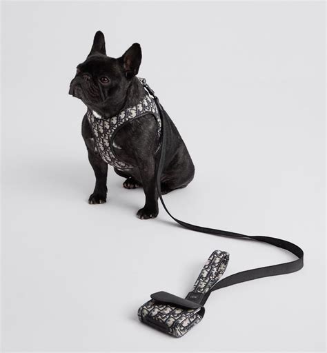 dior pets|christian dior pet dog.